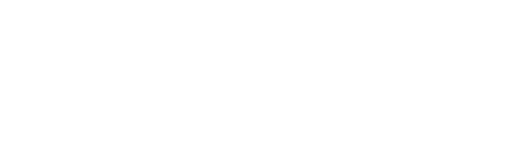 Africa First Group